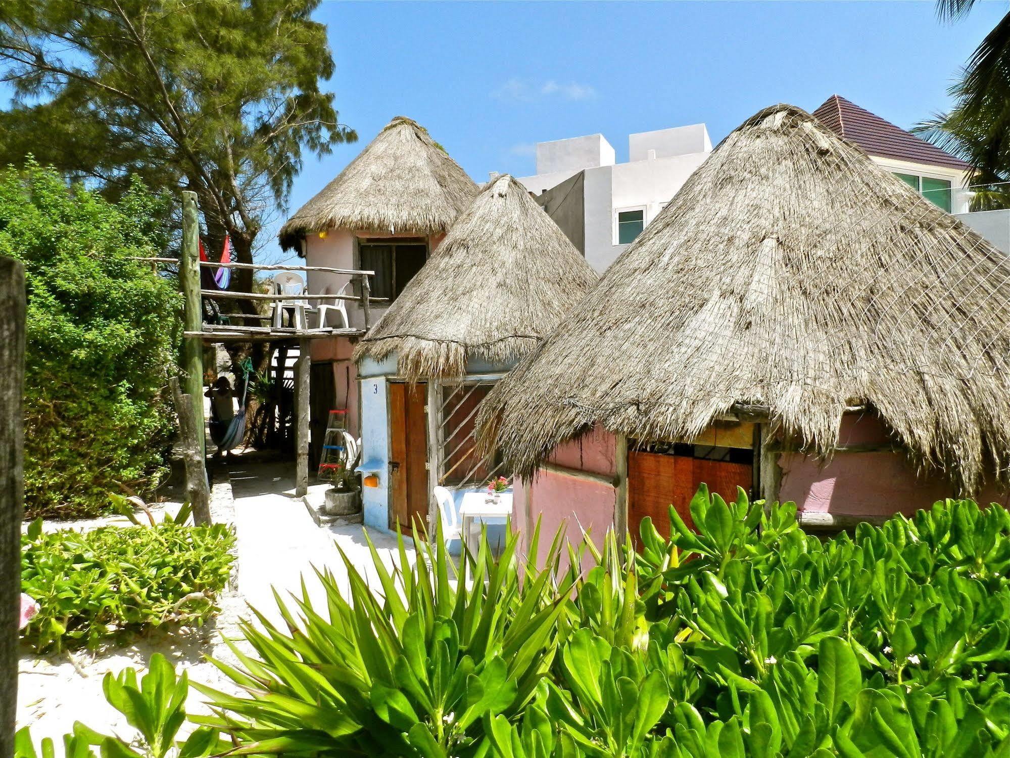 Acamaya Reef Cabanas Puerto Morelos Bagian luar foto