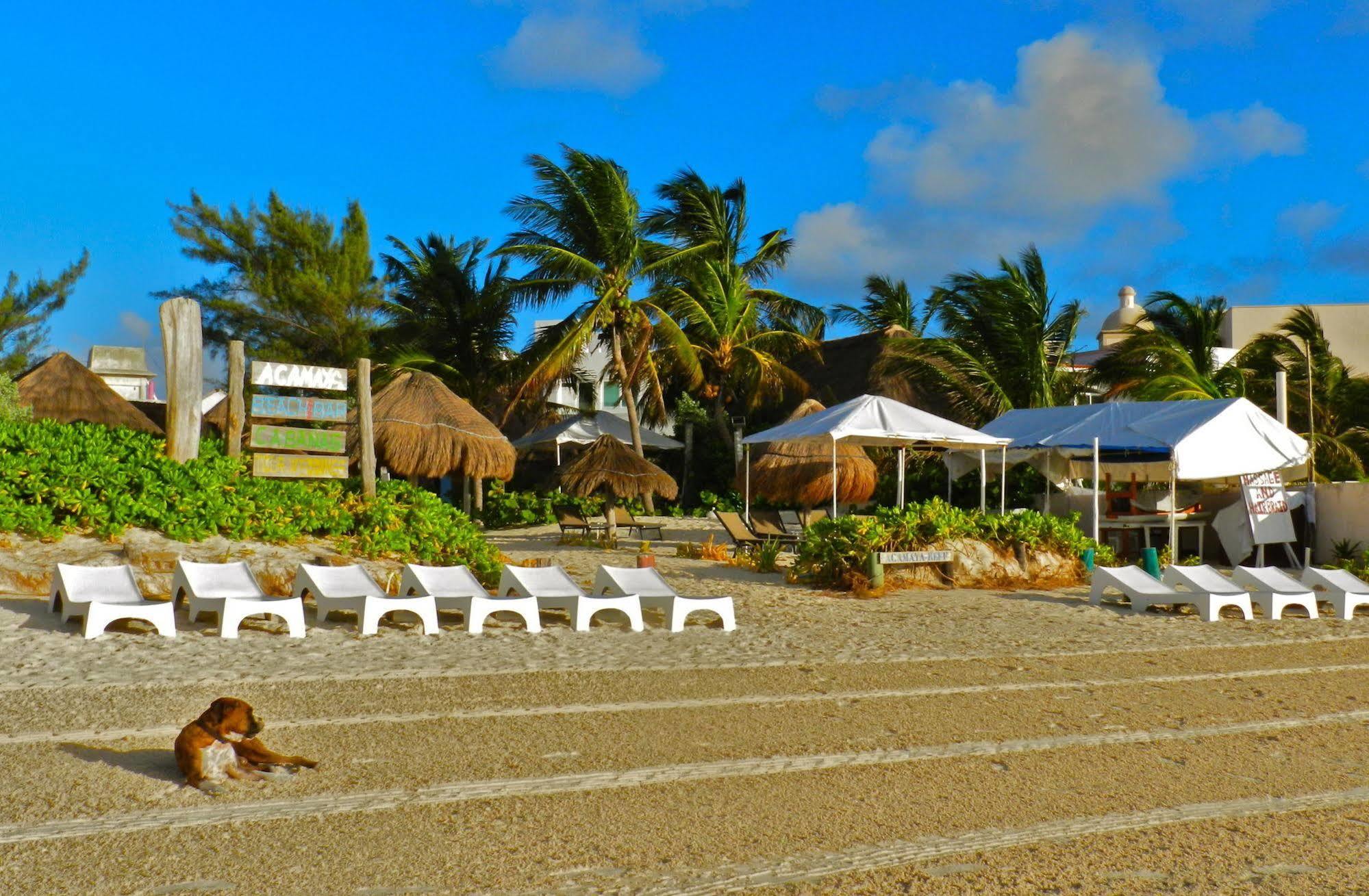 Acamaya Reef Cabanas Puerto Morelos Bagian luar foto